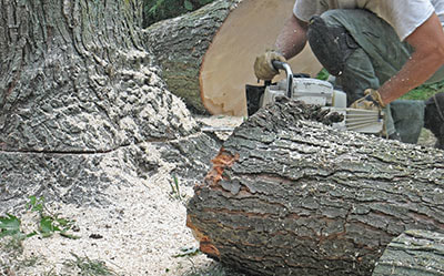 stump removal kerrville tx